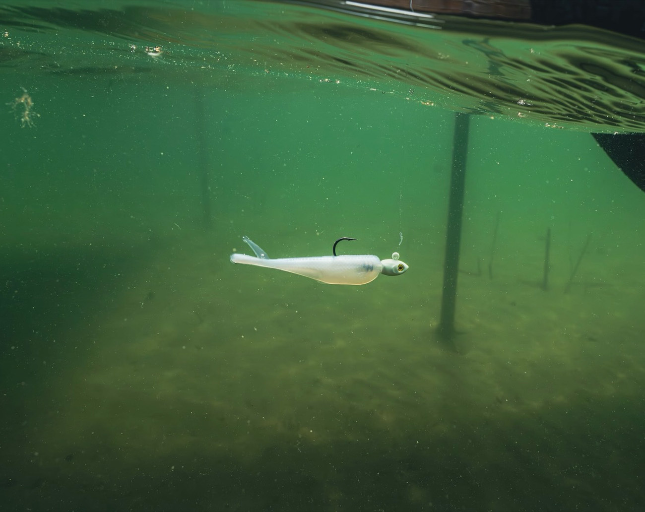 Z-Man Micro Graph ShadZ